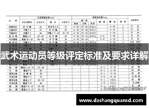 武术运动员等级评定标准及要求详解