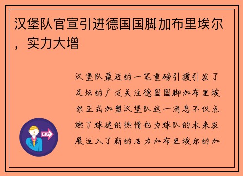 汉堡队官宣引进德国国脚加布里埃尔，实力大增